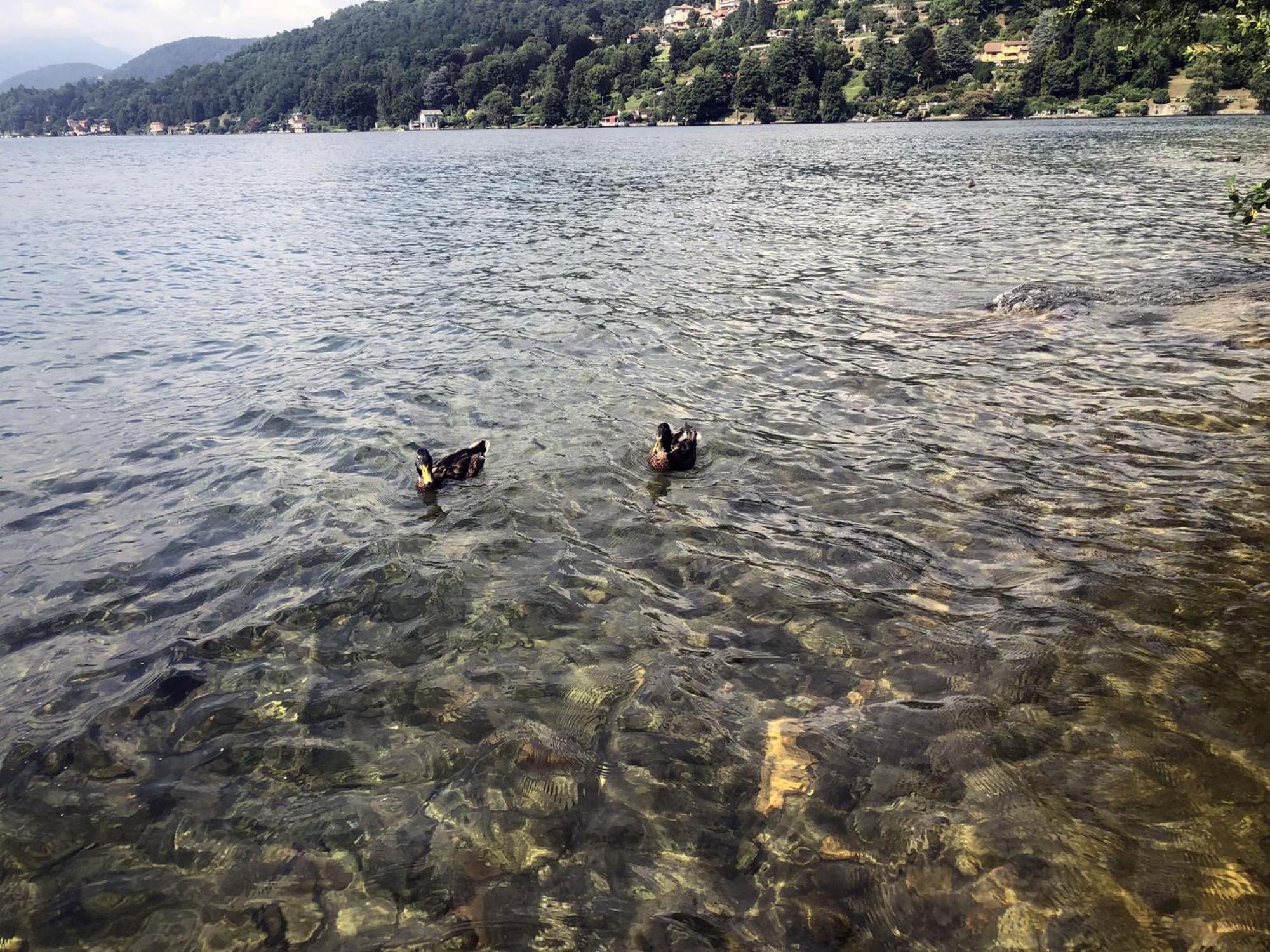 Appartamento Vacanze Al Lago Orta San Giulio Exterior photo